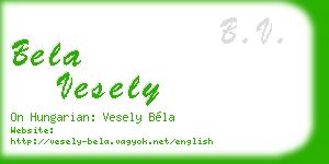 bela vesely business card